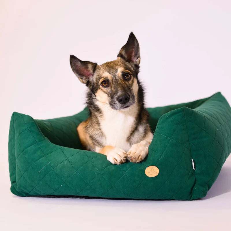 Orthopädisches Hundebett COZY - Größe L