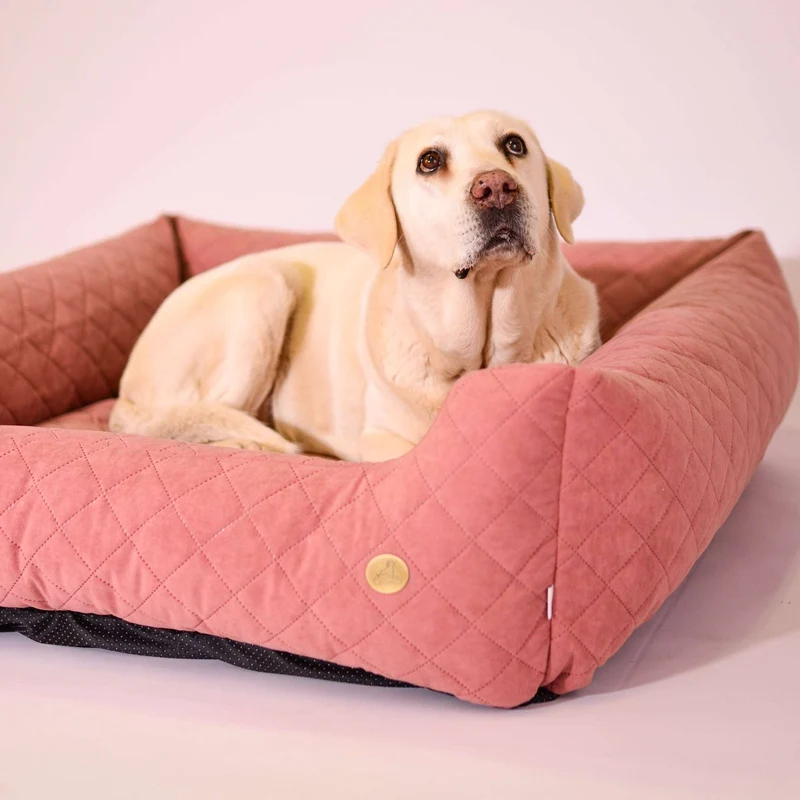 Orthopädisches Hundebett COZY - Größe XL