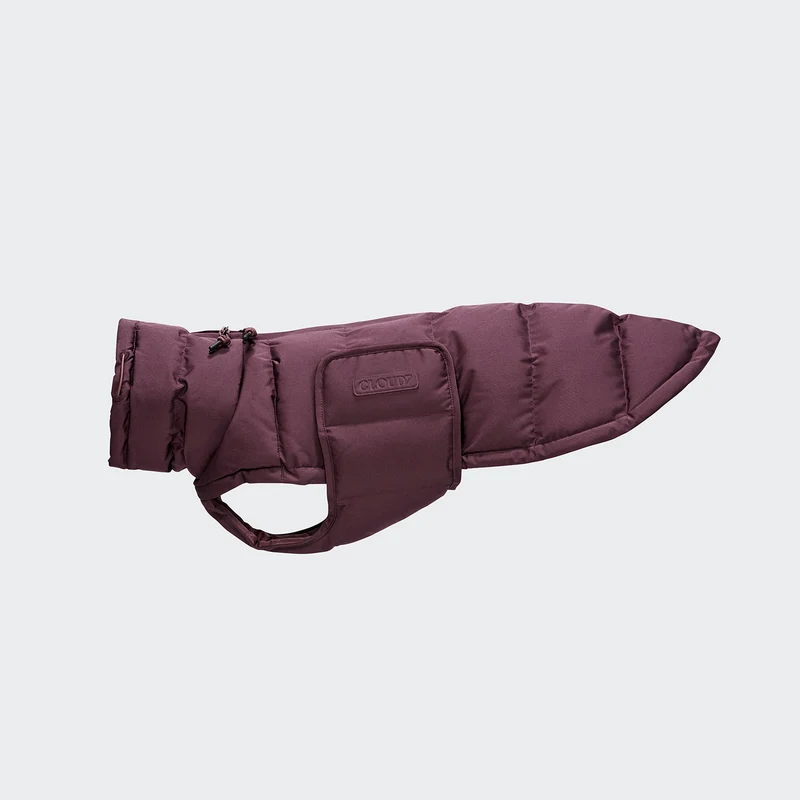 Hundemantel für Dackel Alaska Dark Aubergine