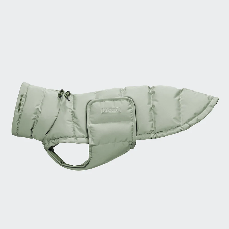 Hundemantel für Dackel Alaska Dusty Mint