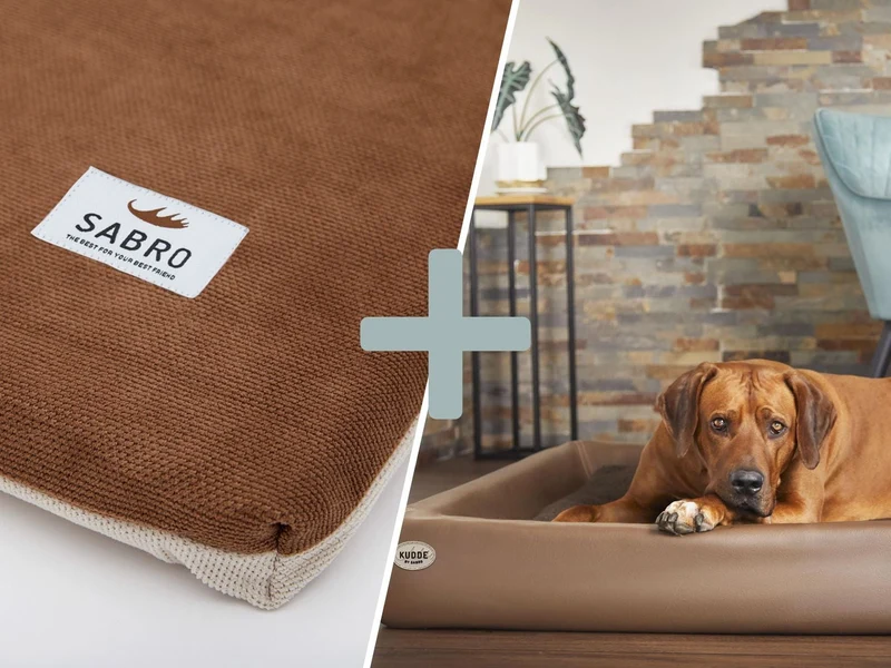 Orthopädisch-Plus Bundle | KUDDE Hundebett + Mumin Einlage Alltid