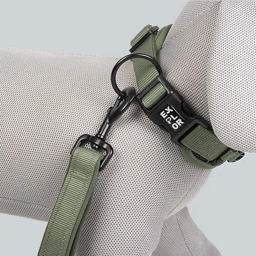 Hundehalsband Ultimate Fit Control Classic