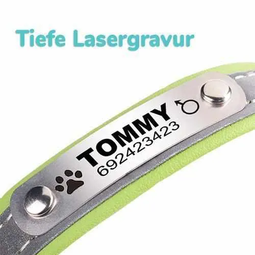 Hundehalsband mit Namen und Telefon graviert. Reflektierend