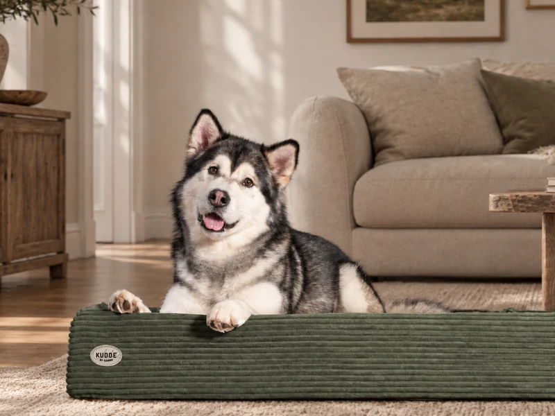 SABRO Hundebett KUDDE Cord