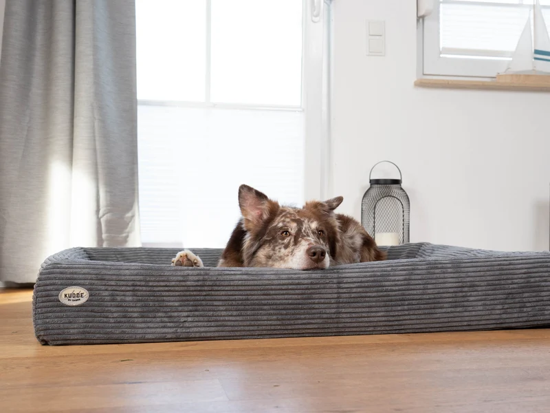SABRO Hundebett KUDDE Cord