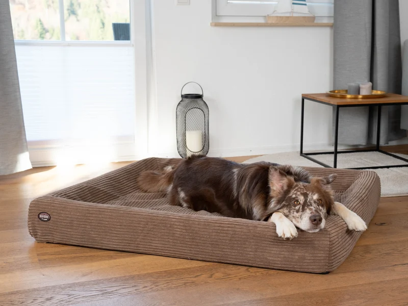 SABRO Hundebett KUDDE Cord