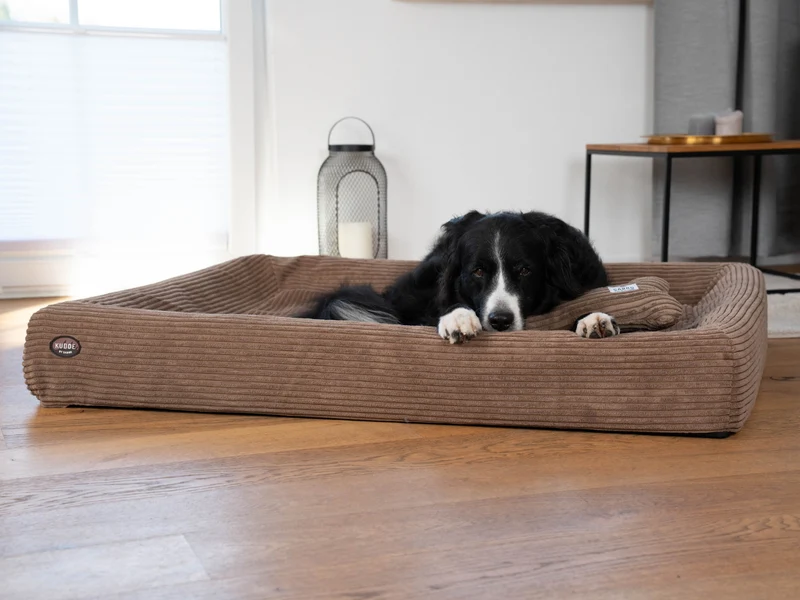 SABRO Hundebett KUDDE Cord