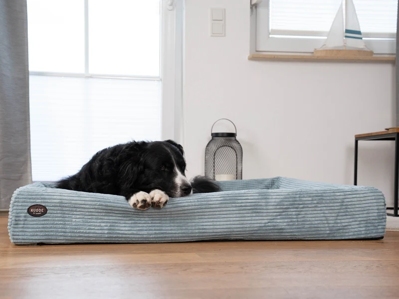SABRO Hundebett KUDDE Cord