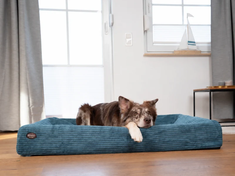 SABRO Hundebett KUDDE Cord