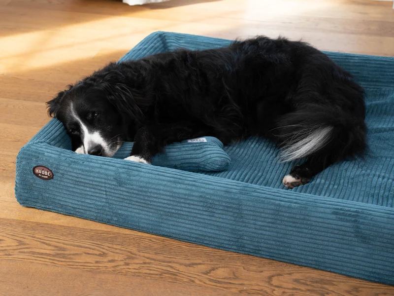 SABRO Hundebett KUDDE Cord