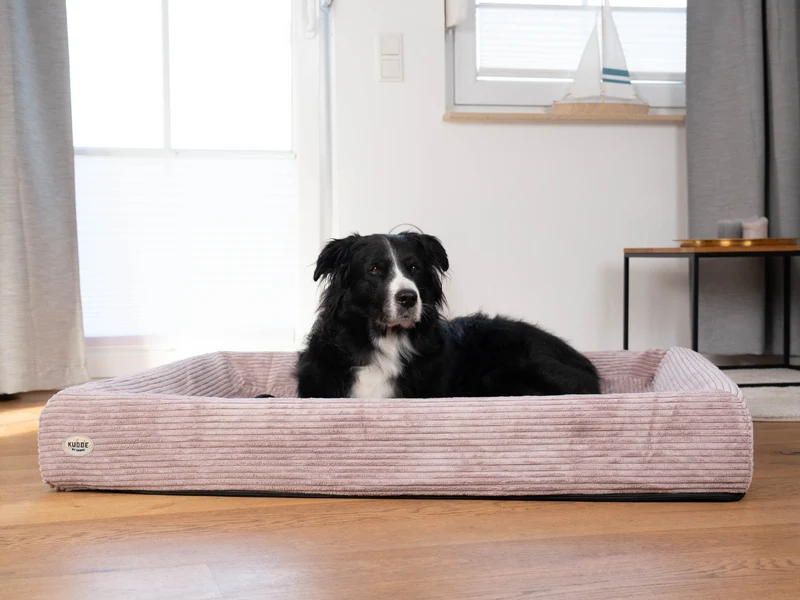 SABRO Hundebett KUDDE Cord