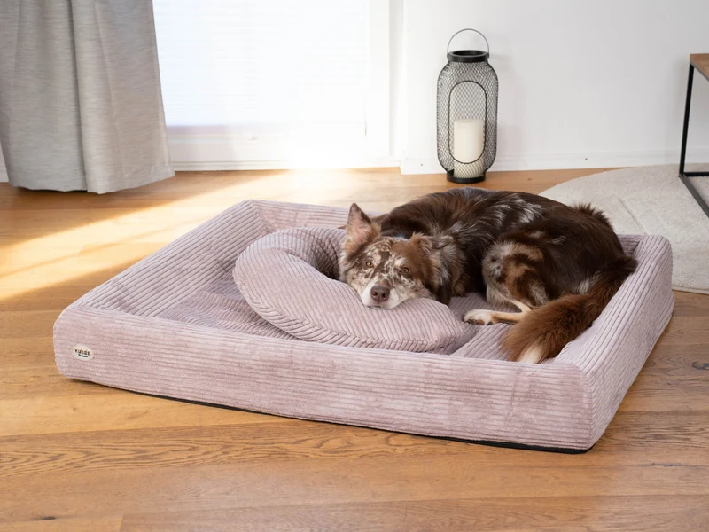 SABRO Hundebett KUDDE Cord