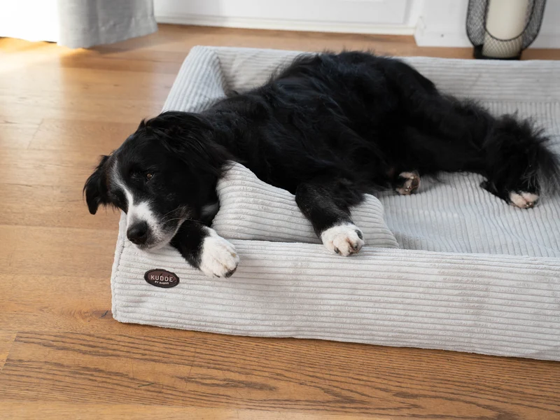 SABRO Hundebett KUDDE Cord