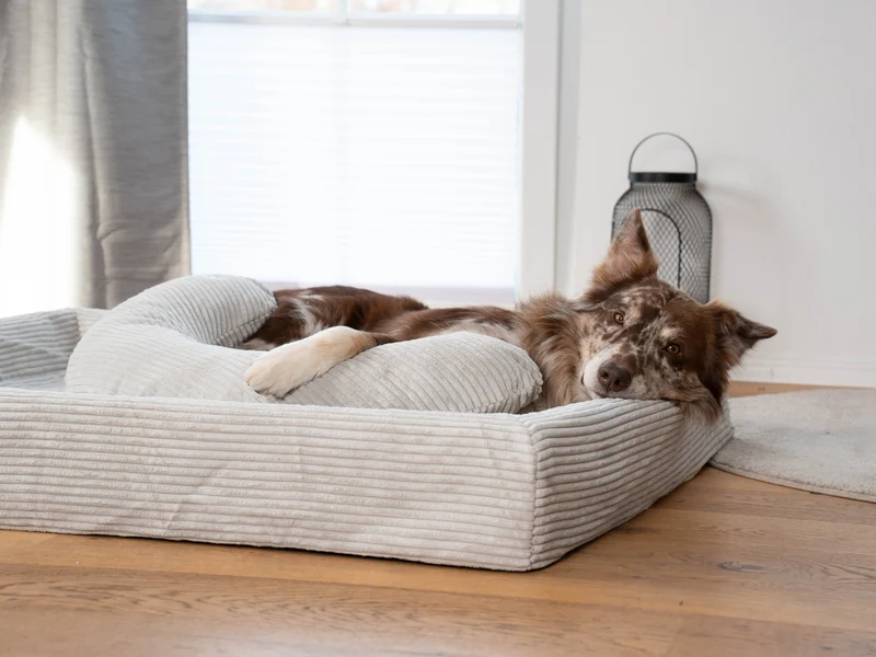 SABRO Hundebett KUDDE Cord