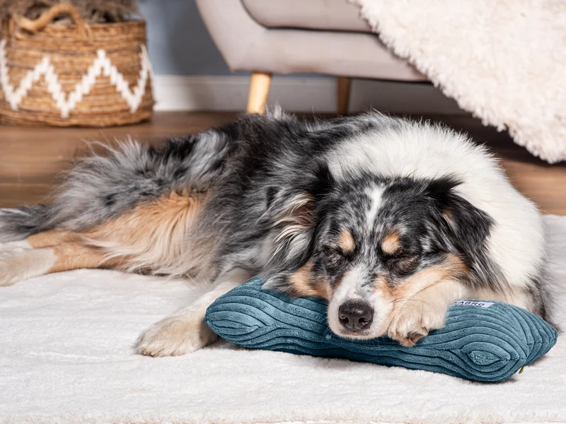 SABRO Kissen KUSCHELKNOCHEN Cord