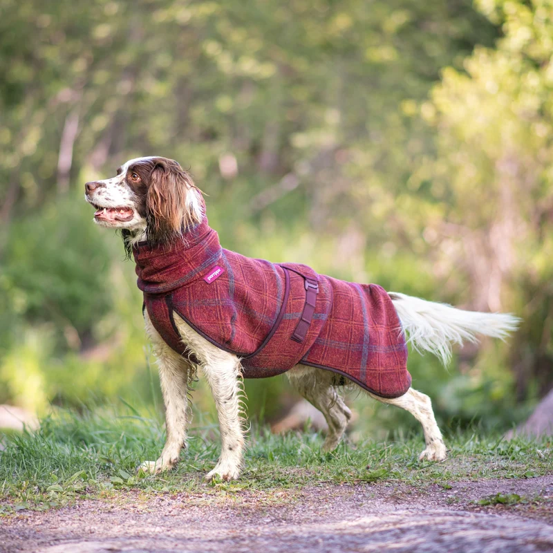 Wollmantel Woolie – Wendbarer Premium-Hundemantel Maroon