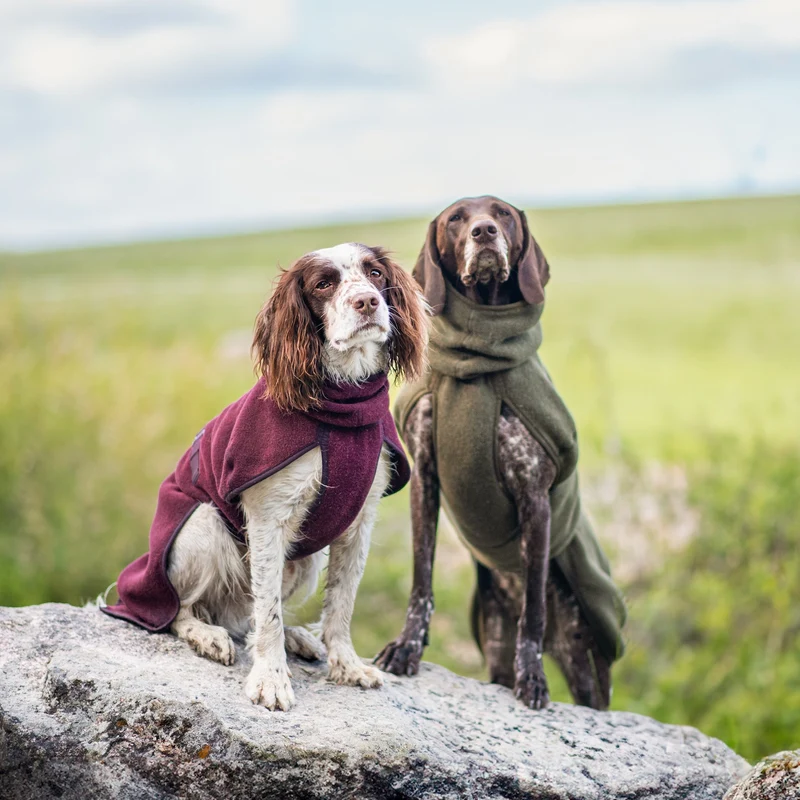 Wollmantel Woolie – Wendbarer Premium-Hundemantel Maroon