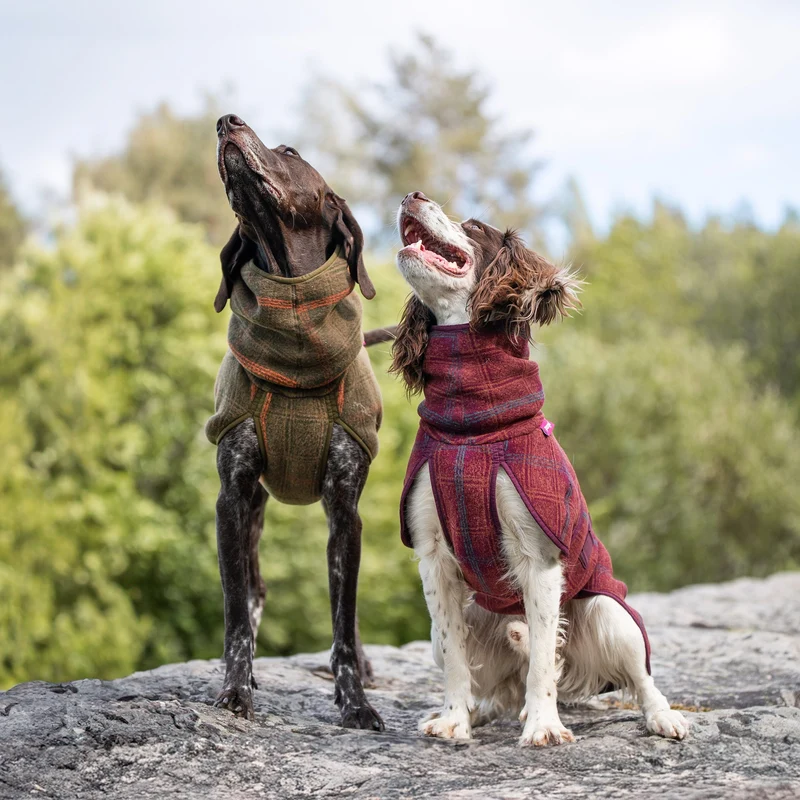 Wollmantel Woolie – Wendbarer Premium-Hundemantel Maroon