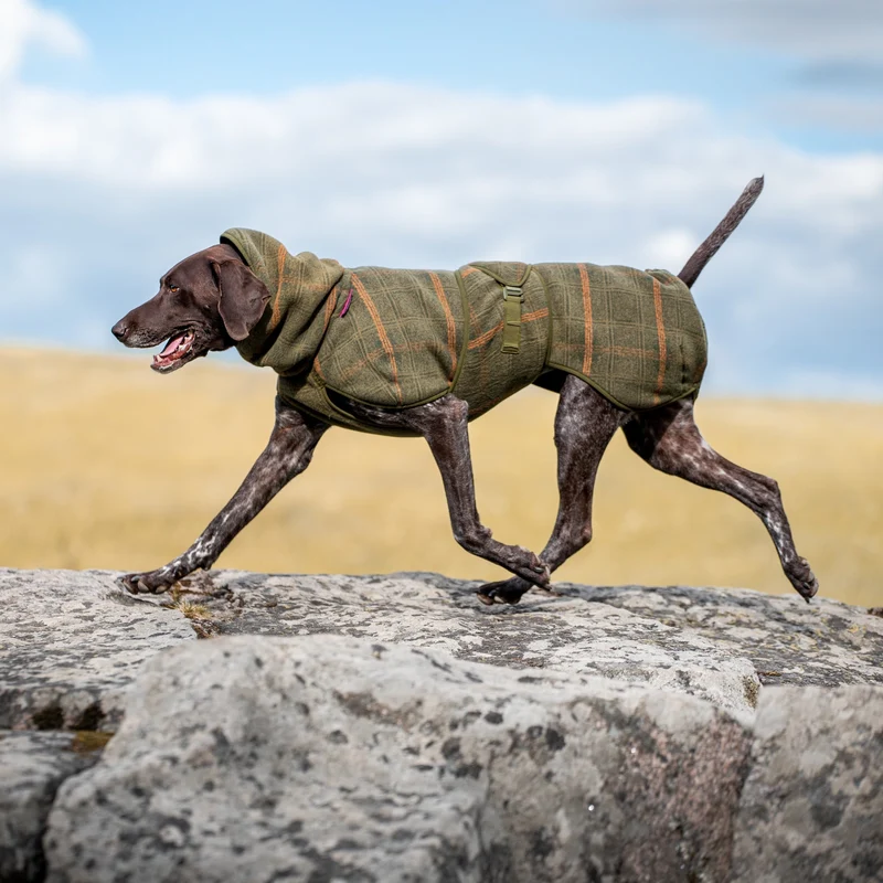 Wollmantel Woolie – Wendbarer Premium-Hundemantel Oliv