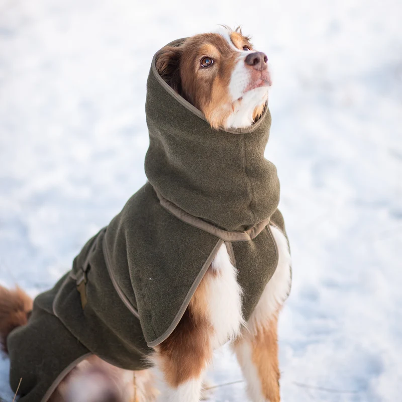 Wollmantel Woolie – Wendbarer Premium-Hundemantel Oliv