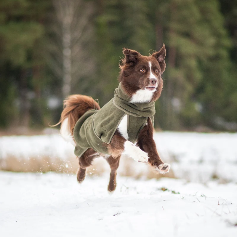 Wollmantel Woolie – Wendbarer Premium-Hundemantel Oliv