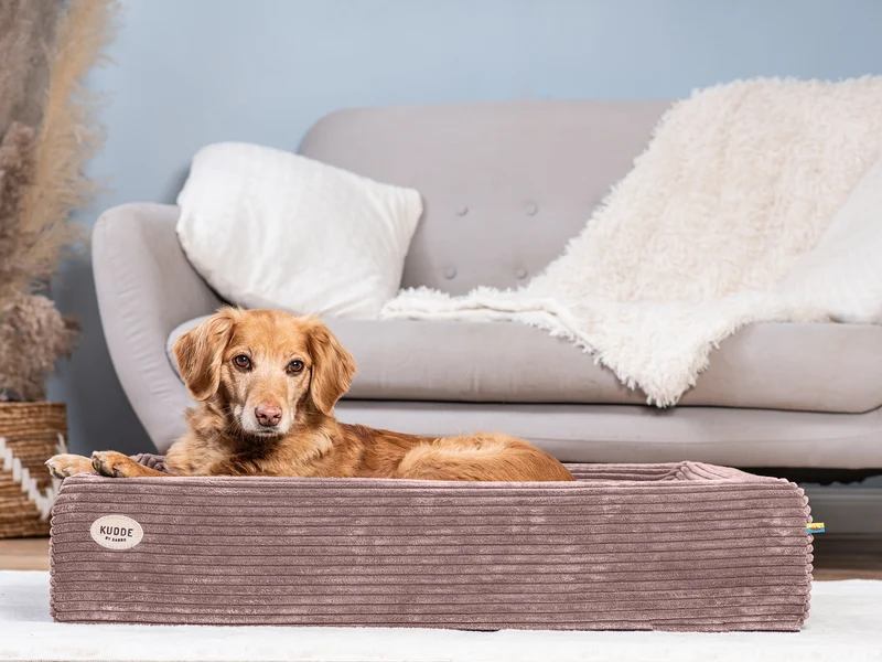 Hundebett KUDDE Cord