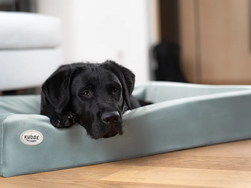 Hundebett KUDDE Samt