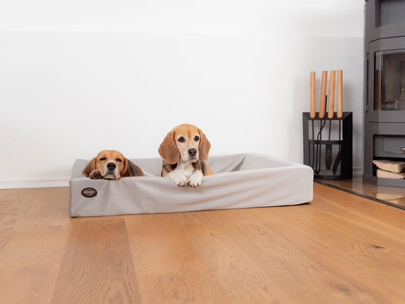Hundebett KUDDE Samt