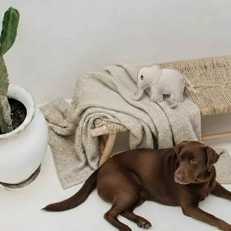 Hundespielzeug Elefant Eleonora