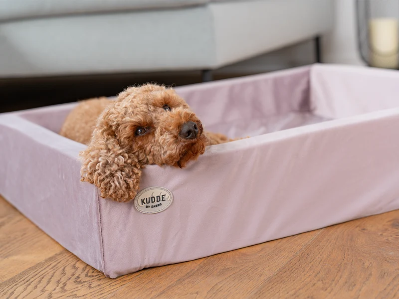 SABRO Hundebett KUDDE Samt