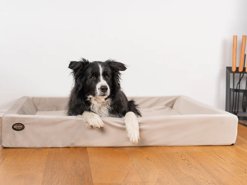 SABRO Hundebett KUDDE Samt
