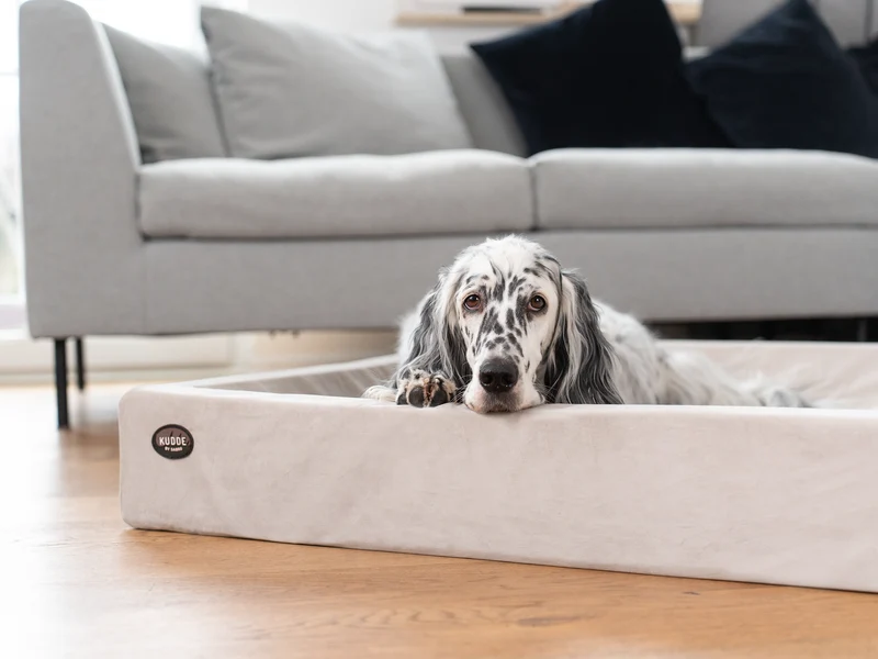 SABRO Hundebett KUDDE Samt