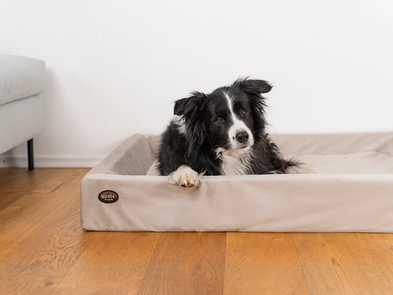 SABRO Hundebett KUDDE Samt