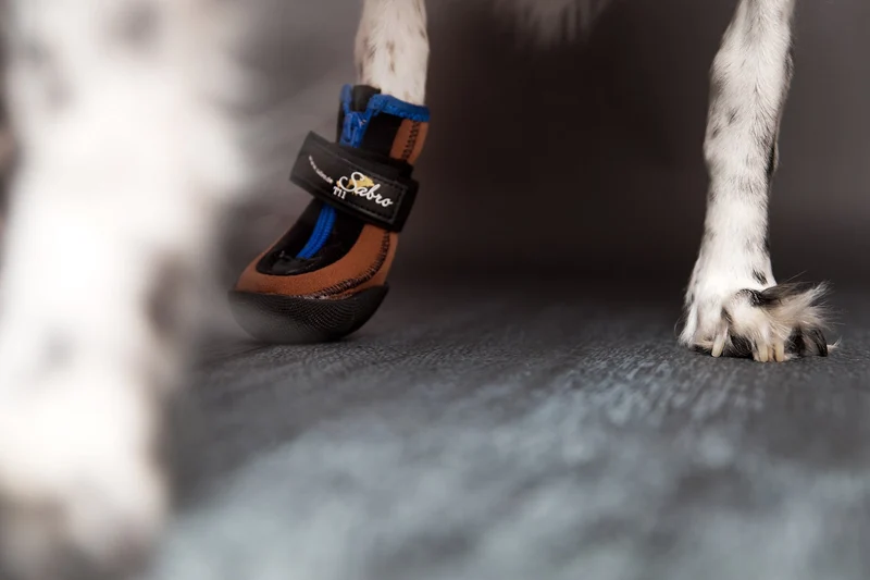 SABRO Hundeschuhe TOFFLER Pfotenschutz