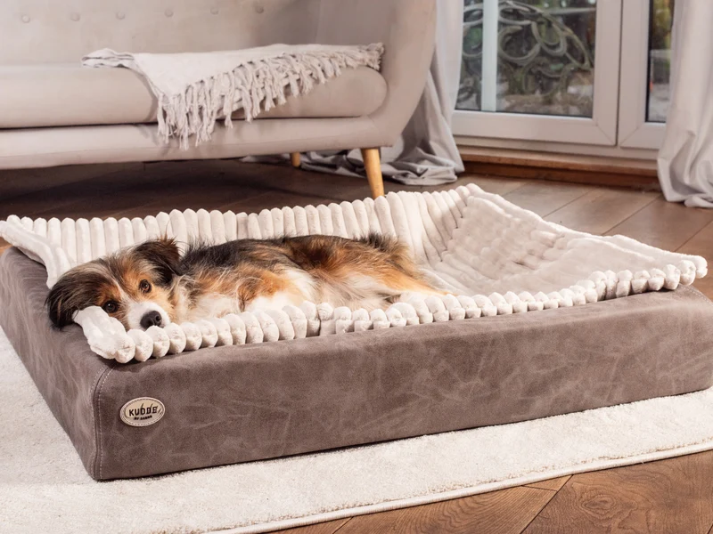 SABRO Hundebett KUDDE veganes Wildleder