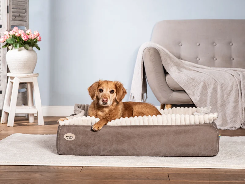 SABRO Hundebett KUDDE veganes Wildleder