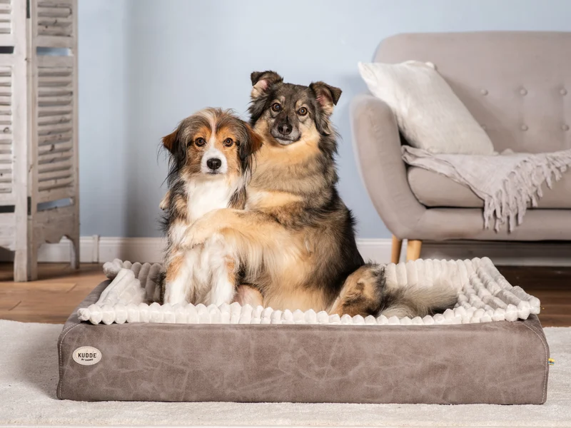 SABRO Hundebett KUDDE veganes Wildleder