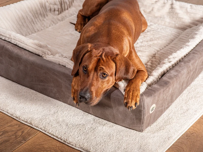 SABRO Hundebett KUDDE veganes Wildleder