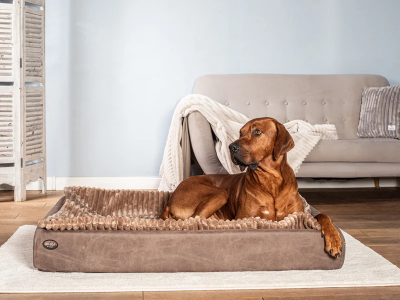 SABRO Hundebett KUDDE veganes Wildleder