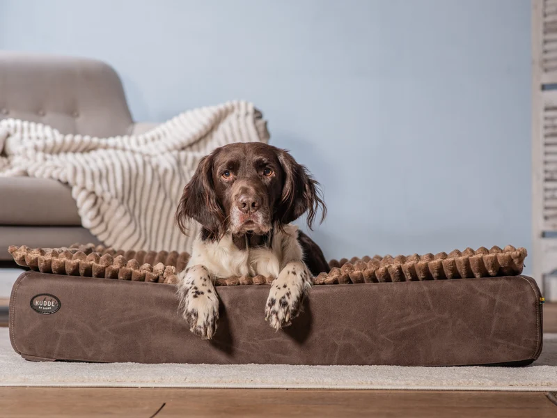 SABRO Hundebett KUDDE veganes Wildleder