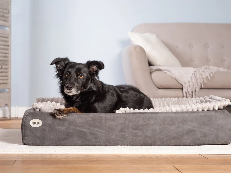 SABRO Hundebett KUDDE veganes Wildleder