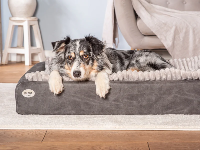 SABRO Hundebett KUDDE veganes Wildleder