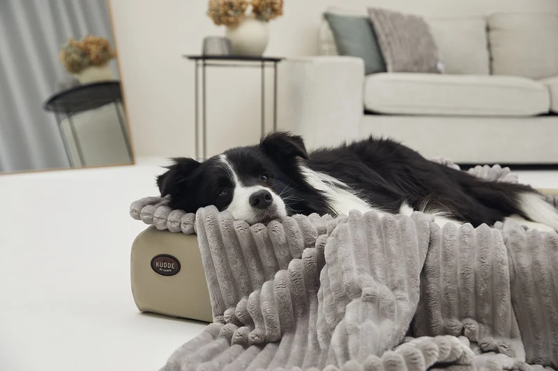 SABRO Kuscheldecke VÄRME Breitcord
