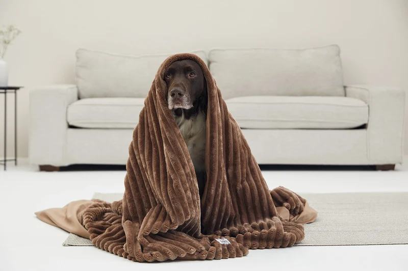 SABRO Kuscheldecke VÄRME Breitcord