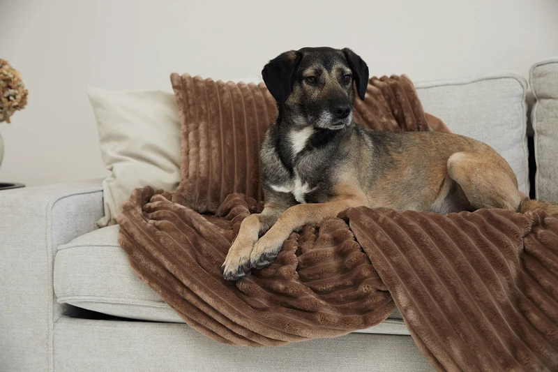 SABRO Kuscheldecke VÄRME Breitcord