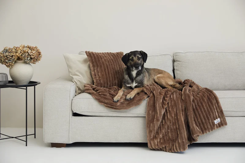 SABRO Kuscheldecke VÄRME Breitcord