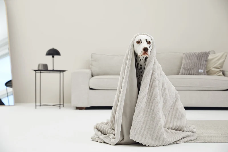 SABRO Kuscheldecke VÄRME Breitcord