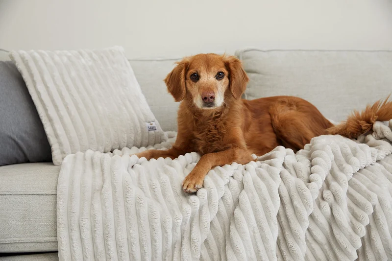 SABRO Kuscheldecke VÄRME Breitcord