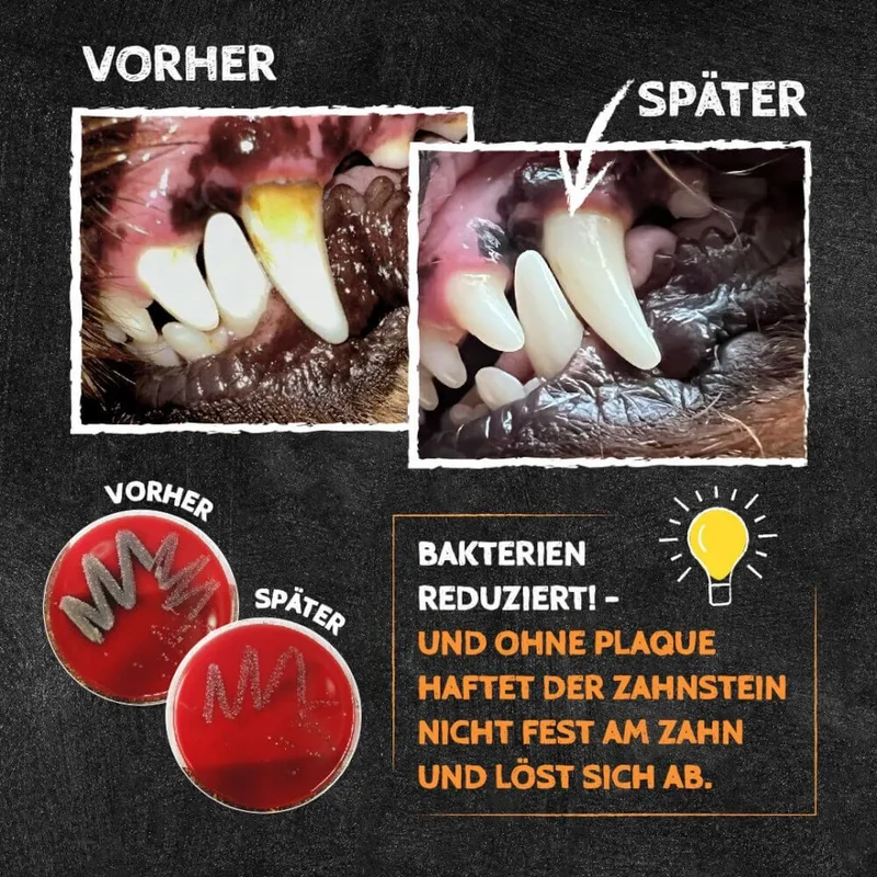 Puffed Cracker - Zahnpflege Snack