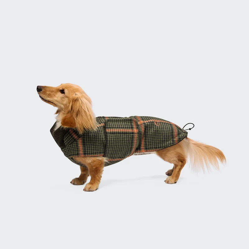 Hundemantel Dackel Brooklyn Flannel Tartan Green